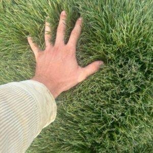 High-quality professional artificial turf