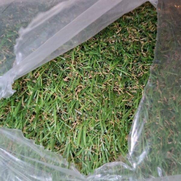 Artificial grass - Image 3